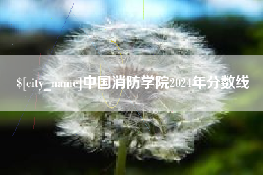 冠县中国消防学院2024年分数线