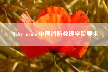 冠县中国消防救援学院要求