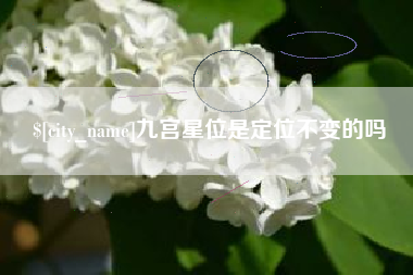 冠县九宫星位是定位不变的吗