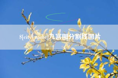 冠县九宫图分割线图片