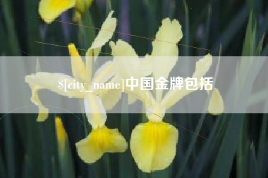 冠县中国金牌包括