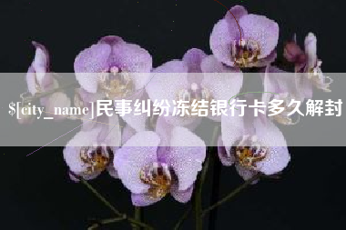 冠县民事纠纷冻结银行卡多久解封
