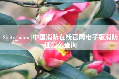 冠县中国消防在线官网电子版消防证怎么查询