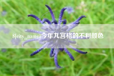 冠县今年九宫格的不利颜色