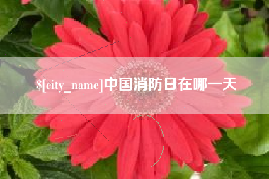 冠县中国消防日在哪一天