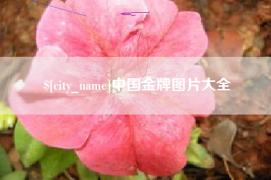 冠县中国金牌图片大全