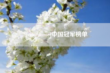 冠县中国冠军榜单