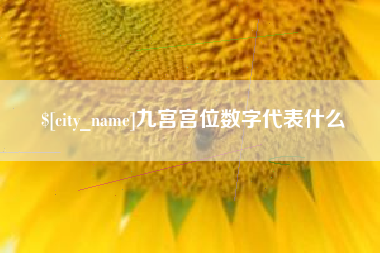 冠县九宫宫位数字代表什么