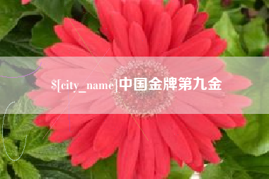 冠县中国金牌第九金