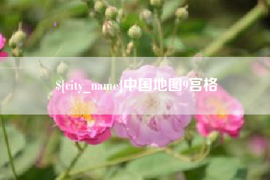 冠县中国地图9宫格