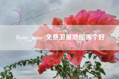 冠县免费卫星地图哪个好