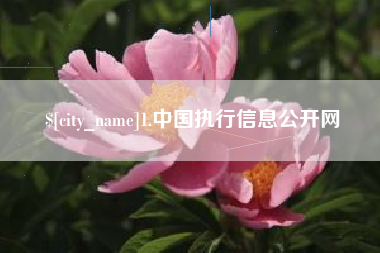 冠县1.中国执行信息公开网