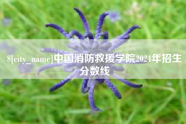 冠县中国消防救援学院2024年招生分数线