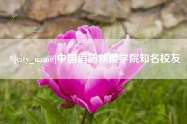 冠县中国消防救援学院知名校友