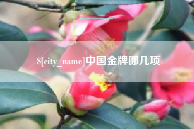 冠县中国金牌哪几项