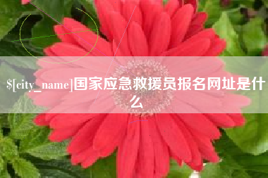 冠县国家应急救援员报名网址是什么