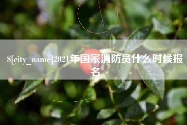 冠县2021年国家消防员什么时候报名