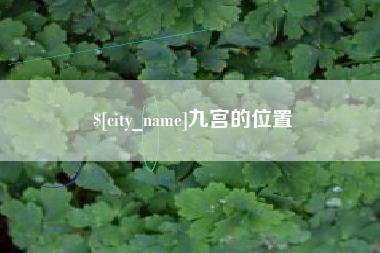 冠县九宫的位置