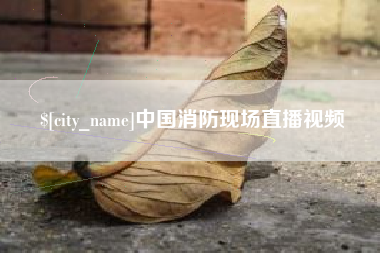 冠县中国消防现场直播视频
