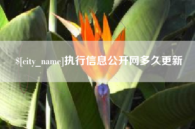 冠县执行信息公开网多久更新