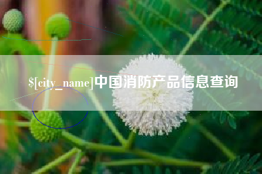 冠县中国消防产品信息查询