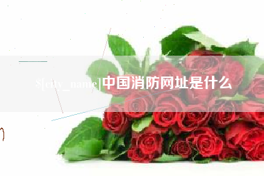 冠县中国消防网址是什么