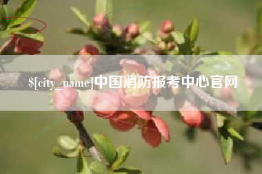冠县中国消防报考中心官网