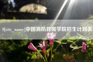 冠县中国消防救援学院招生计划表