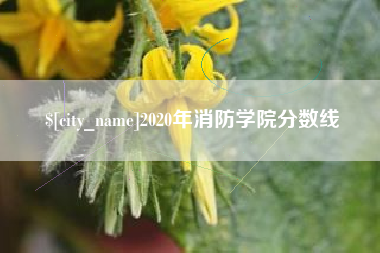 冠县2020年消防学院分数线