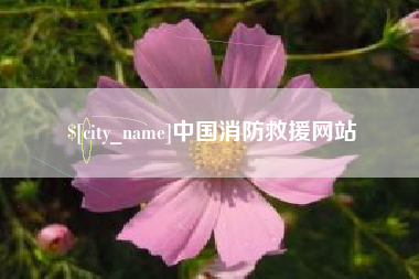 冠县中国消防救援网站