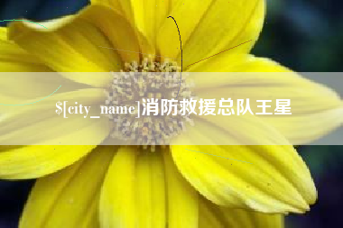 冠县消防救援总队王星