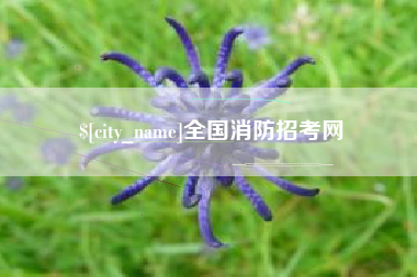 冠县全国消防招考网