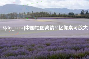 冠县中国地图高清30亿像素可放大