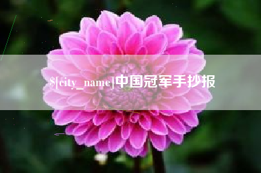 冠县中国冠军手抄报