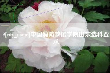 冠县中国消防救援学院山东选科要求