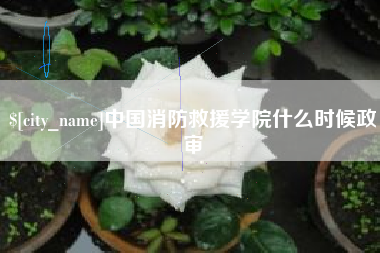 冠县中国消防救援学院什么时候政审
