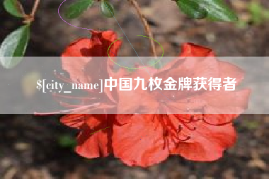 冠县中国九枚金牌获得者