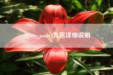 冠县九宫详细说明