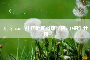 冠县中国消防救援学院2019招生计划