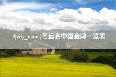 冠县冬运会中国金牌一览表