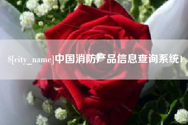 冠县中国消防产品信息查询系统1