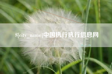 冠县中国执行执行信息网