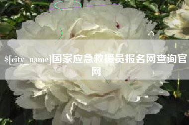 冠县国家应急救援员报名网查询官网