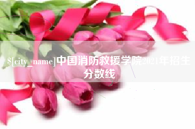 冠县中国消防救援学院2021年招生分数线
