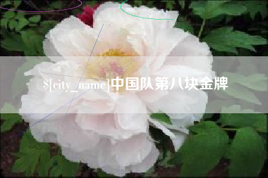 冠县中国队第八块金牌