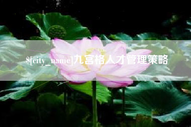 冠县九宫格人才管理策略