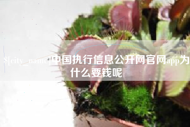 冠县中国执行信息公开网官网app为什么要钱呢