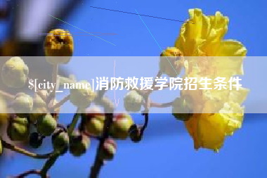 冠县消防救援学院招生条件