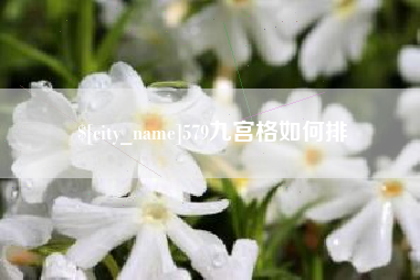 冠县579九宫格如何排