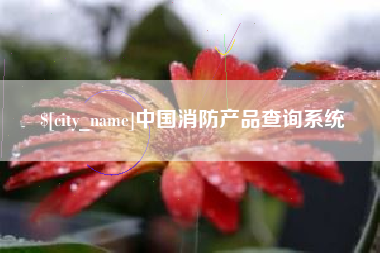 冠县中国消防产品查询系统